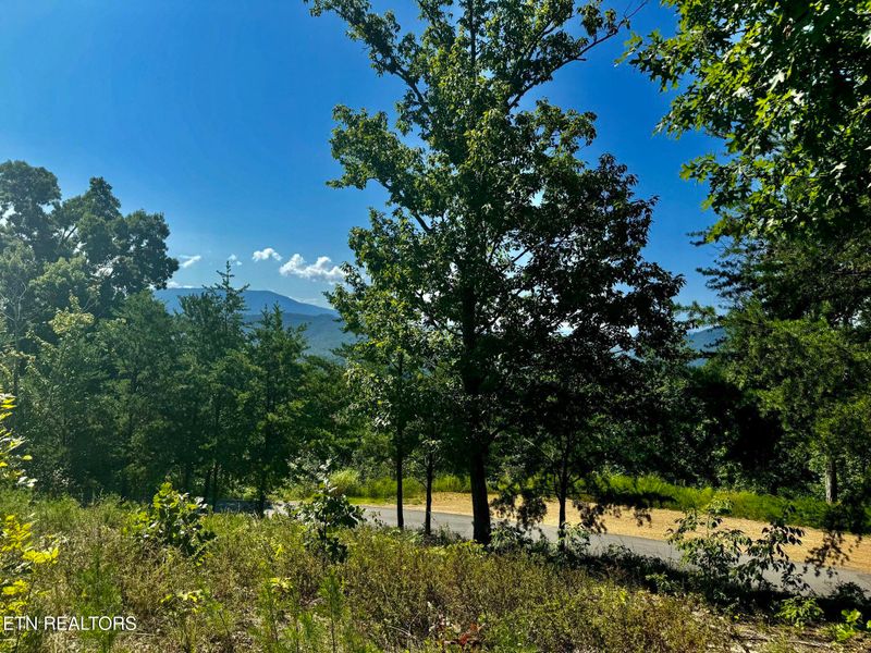 0 Summit Trails Dr, Sevierville, TN 37876