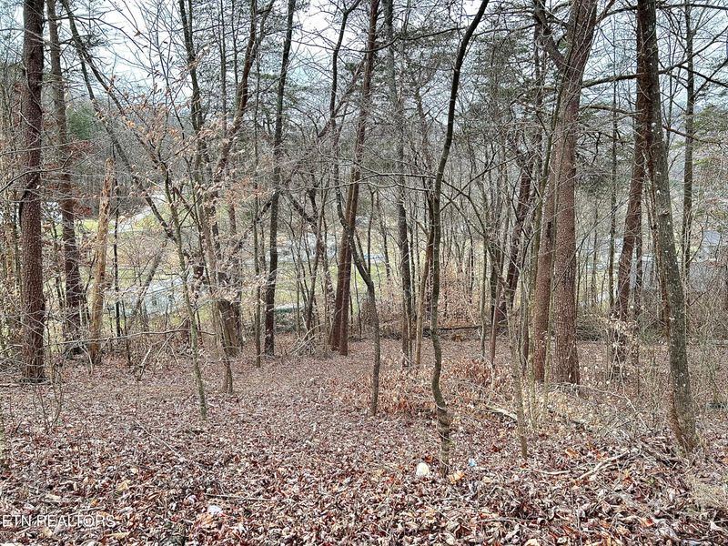 0 Sunset Tr, Jellico, TN 37762