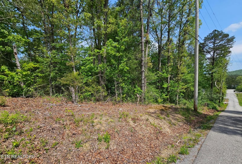 0 Sutherland Dr, Helenwood, TN 37755
