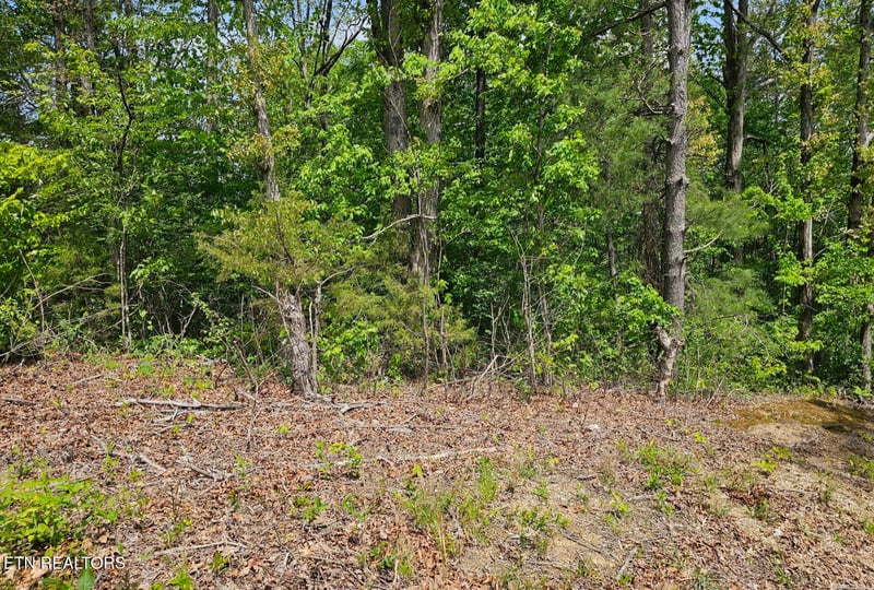 0 Sutherland Dr, Helenwood, TN 37755