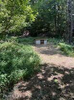 0 Swan Pond Rd, Harriman, TN 37748