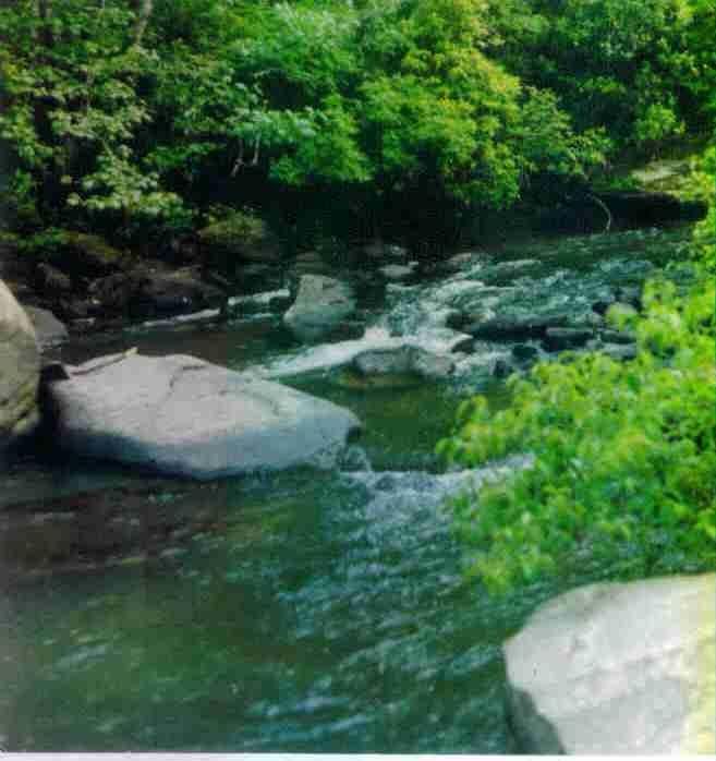 0 Swan Rd, Crossville, TN 38555