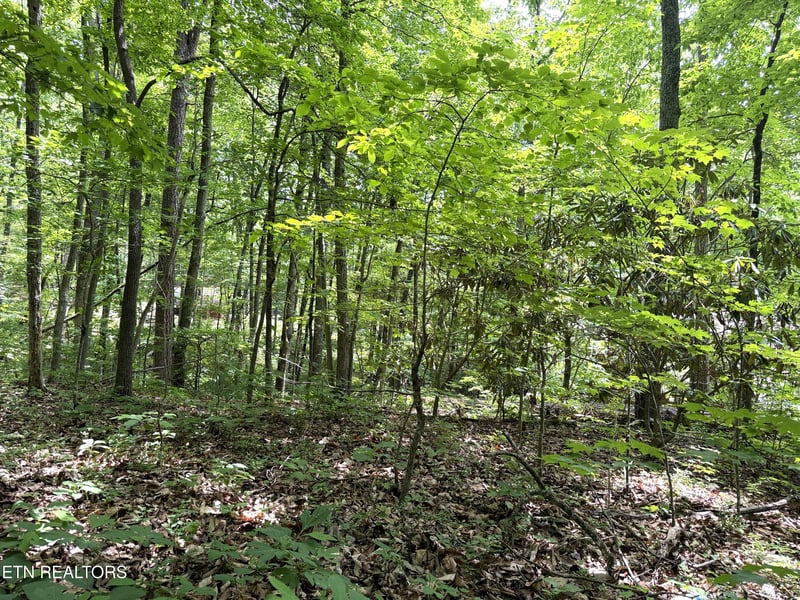 0 Swann Saddle #10, Sevierville, TN 37876