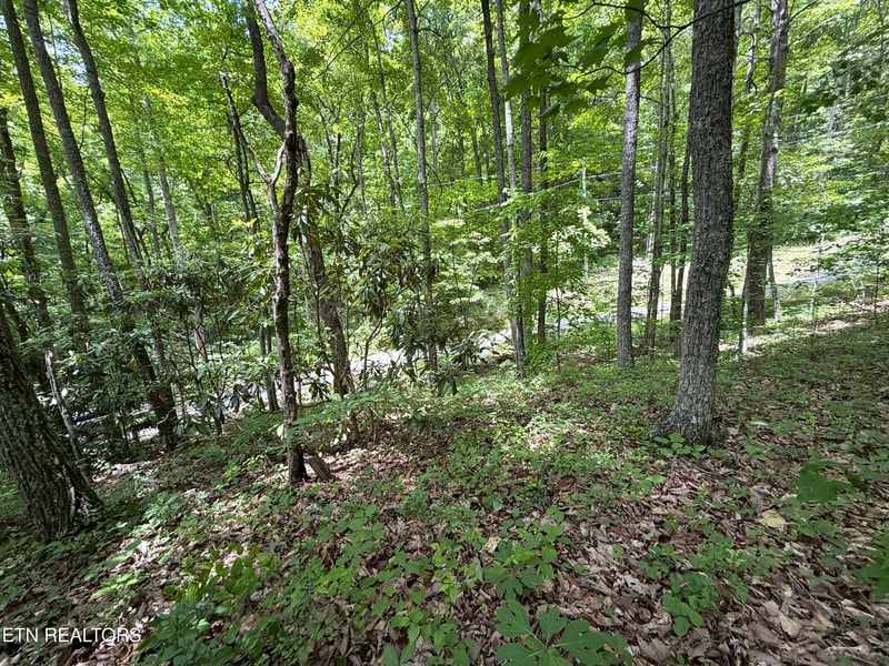 0 Swann Saddle #10, Sevierville, TN 37876