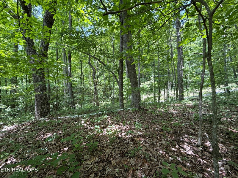 0 Swann Saddle #10, Sevierville, TN 37876