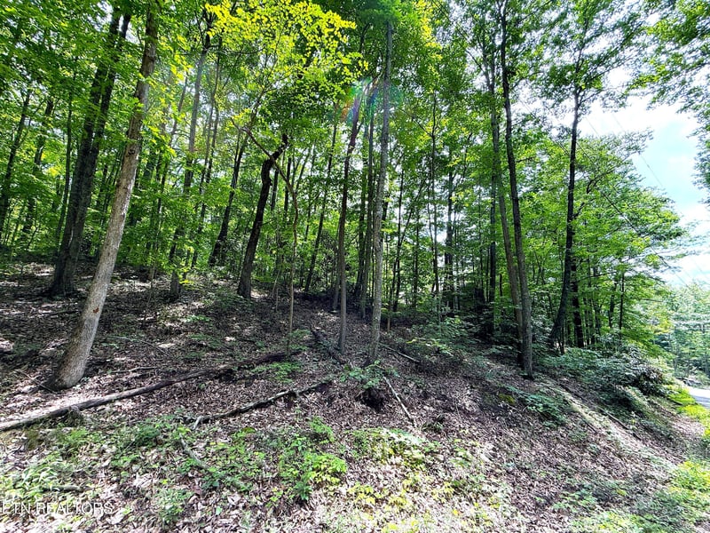 0 Swann Saddle #10, Sevierville, TN 37876