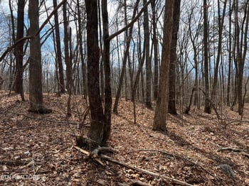 0 Swann Saddle, Sevierville, TN 37876