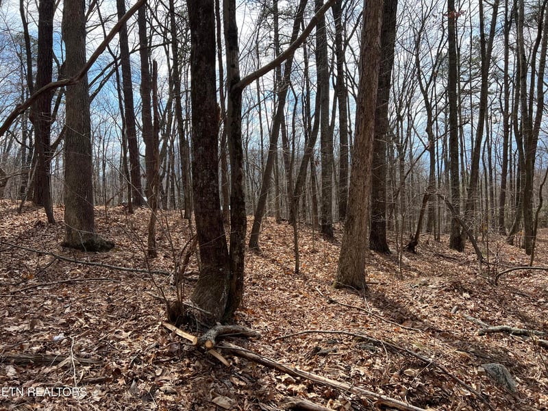 0 Swann Saddle, Sevierville, TN 37876