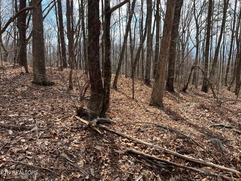 0 Swann Saddle, Sevierville, TN 37876