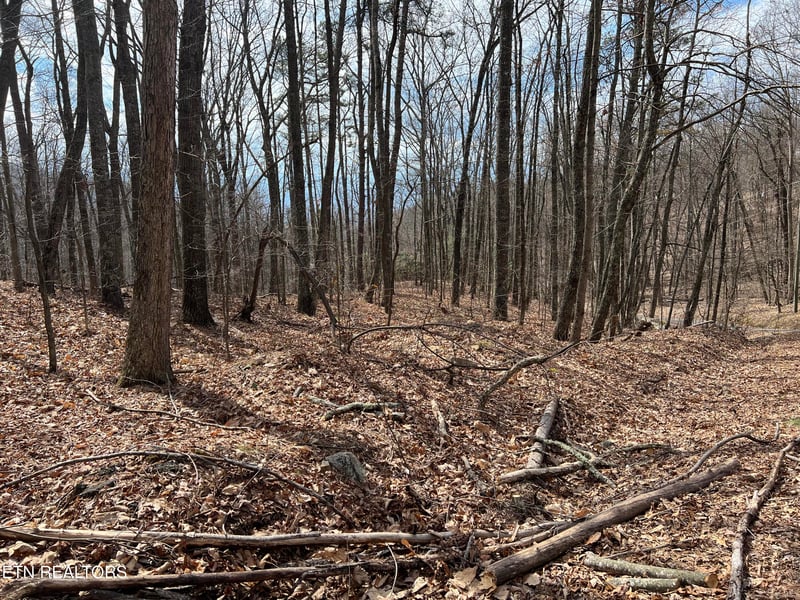 0 Swann Saddle, Sevierville, TN 37876