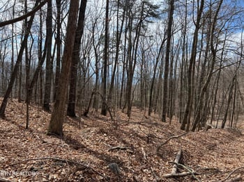 0 Swann Saddle, Sevierville, TN 37876