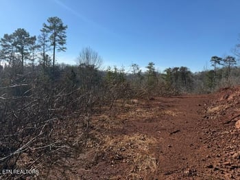 0 Sweetwater Vonore Rd, Sweetwater, TN 37874