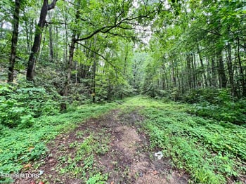 0 Sycamore St, Sevierville, TN 37876