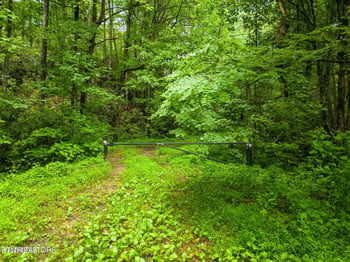 0 Sycamore St, Sevierville, TN 37876
