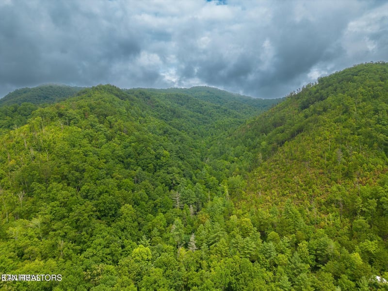 0 Sycamore St, Sevierville, TN 37876