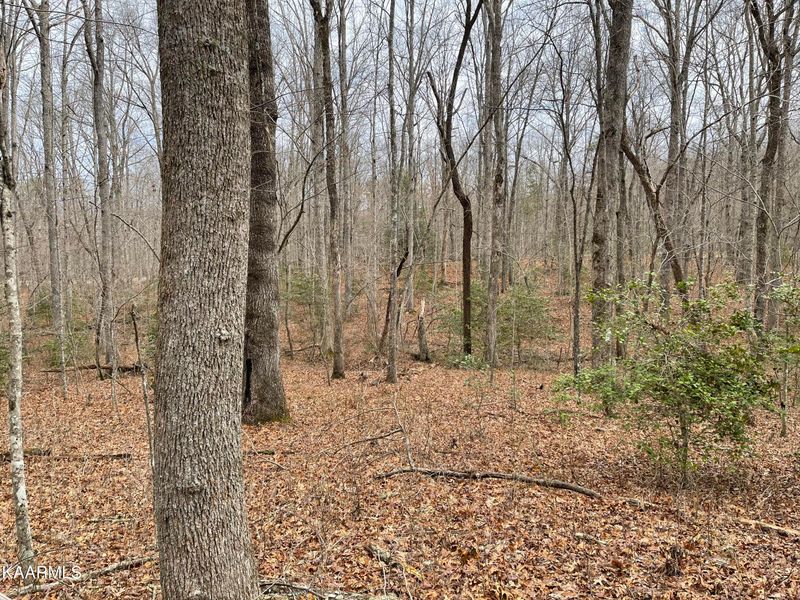 0 Sylvan Dr #1, Monterey, TN 38574