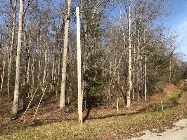 0 Sylvan Dr, Monterey, TN 38574