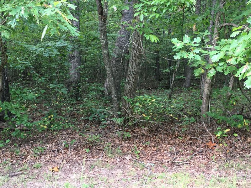 0 T Pl #4, Monterey, TN 38574