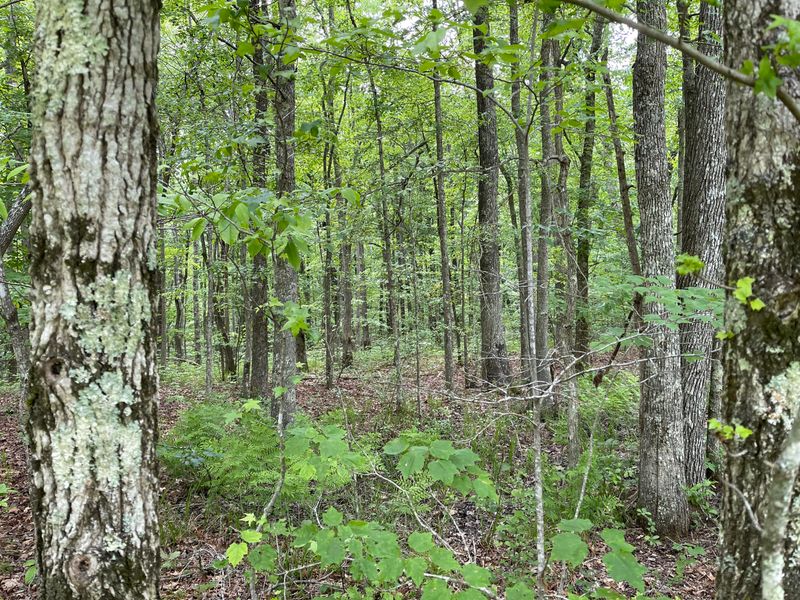 0 T Rd #4, Monterey, TN 38574
