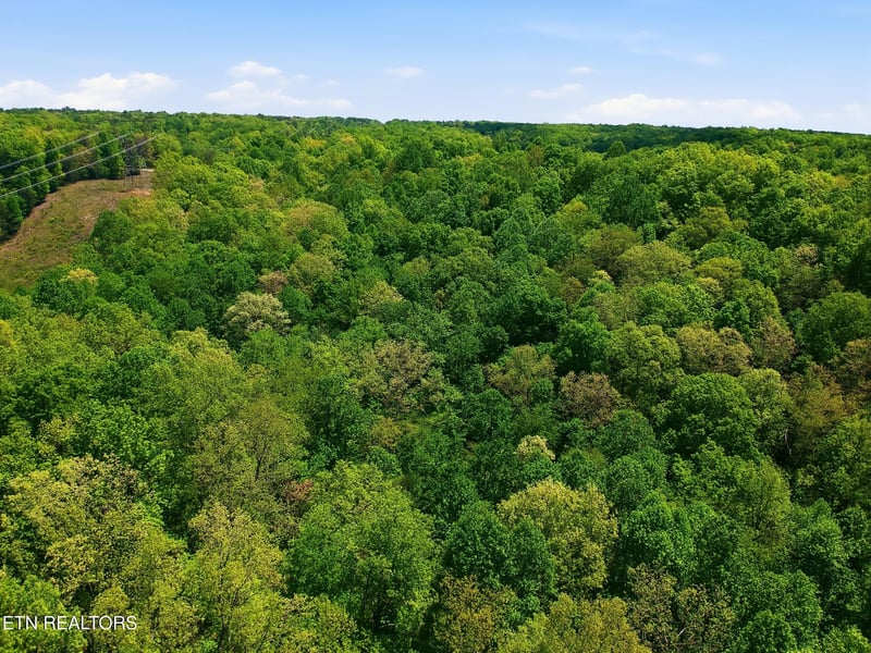 0 T Rd, Monterey, TN 38574