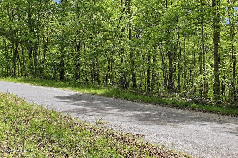 0 T Rd, Monterey, TN 38574