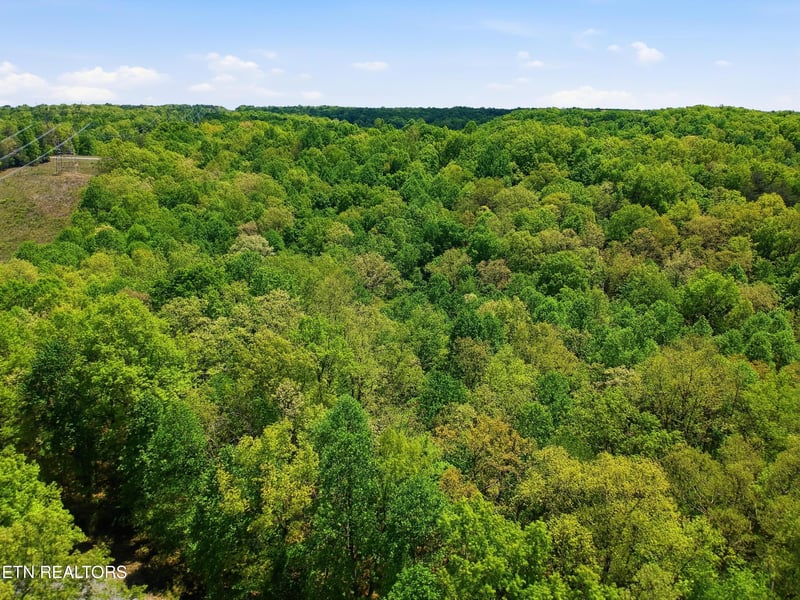 0 T Rd, Monterey, TN 38574