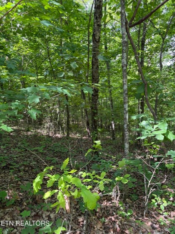 0 Tallent Ln, Vonore, TN 37885