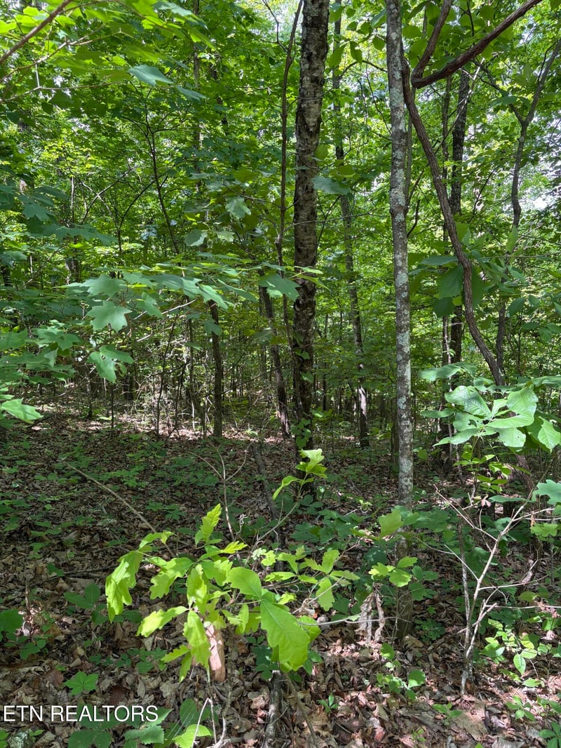 0 Tallent Ln, Vonore, TN 37885