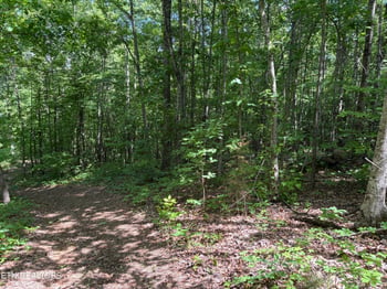 0 Tallent Ln, Vonore, TN 37885