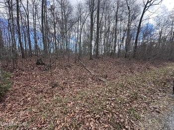 0 Tama Trace #9 #9, Crossville, TN 38572