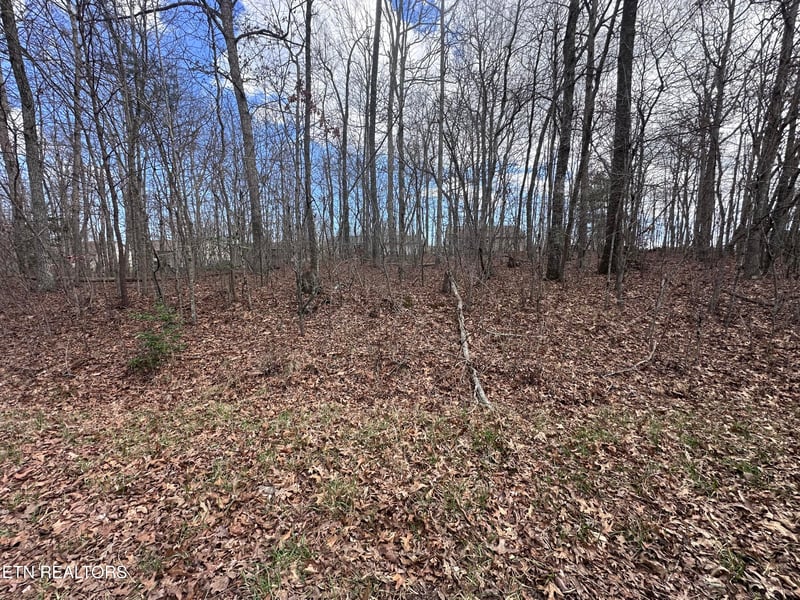 0 Tama Trace #9 #9, Crossville, TN 38572
