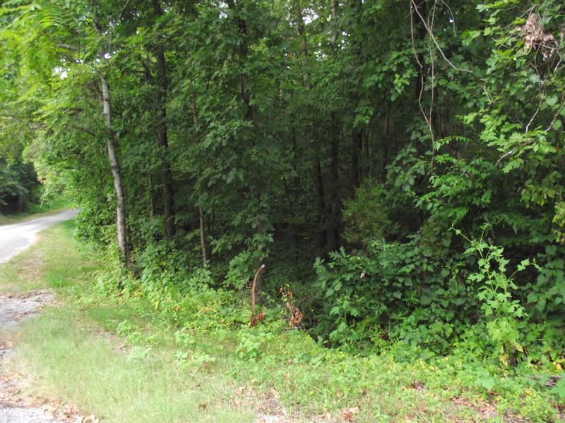 0 Tanasi Tr, Kingston, TN 37763