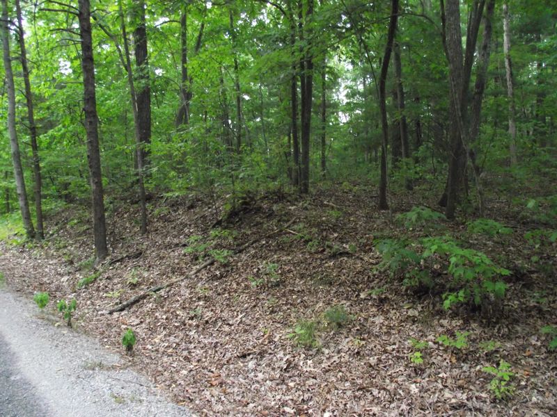 0 Tanasi Tr, Kingston, TN 37763