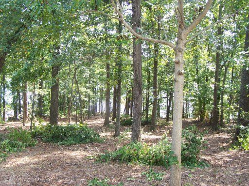 0 Tanasi Way, Loudon, TN 37774