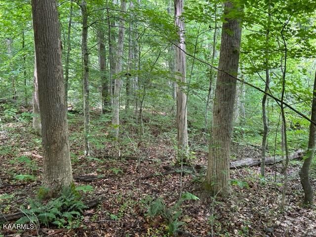 0 Tanglewood Dr, Sharps Chapel, TN 37866