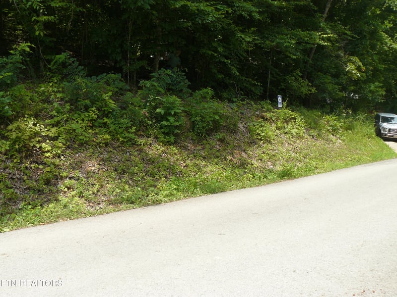 0 Tanglewood Rd, Sharps Chapel, TN 37866