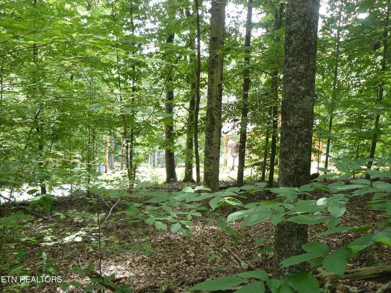 0 Tanglewood Rd, Sharps Chapel, TN 37866