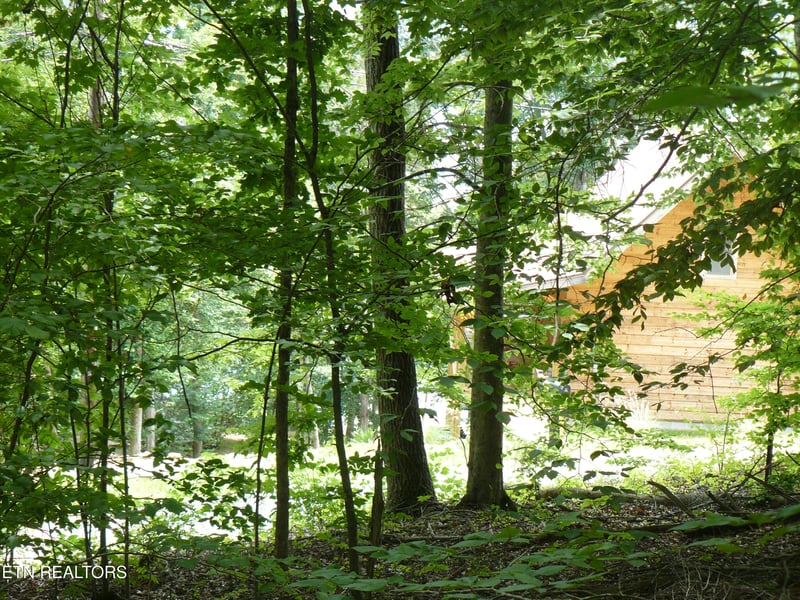 0 Tanglewood Rd, Sharps Chapel, TN 37866