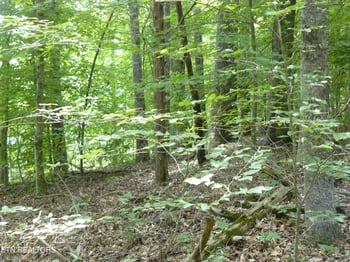 0 Tanglewood Rd, Sharps Chapel, TN 37866
