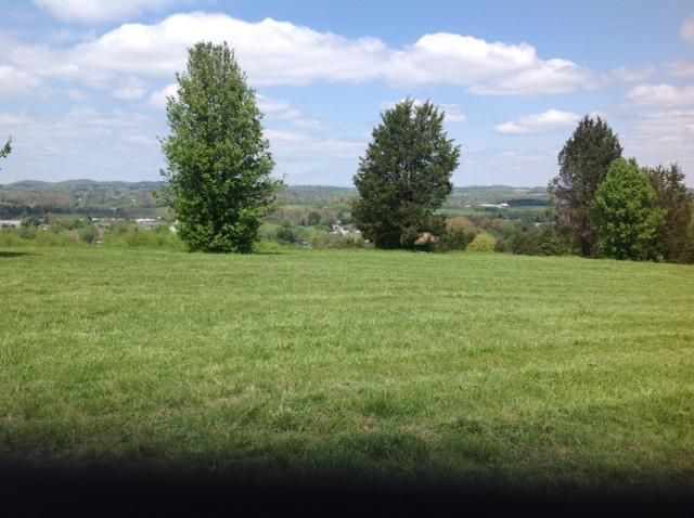 0 Tbd Niles Ferry Rd, Greenback, TN 37742