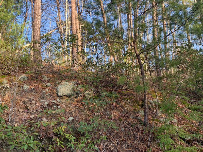 0 Teaberry Hill Way, Sevierville, TN 37862