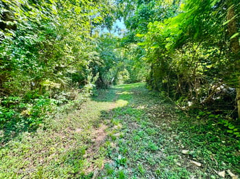 0 Tecoy Quarry Rd, Knoxville, TN 37921