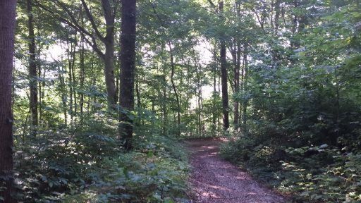 0 Tecumseh Ln, Andersonville, TN 37705