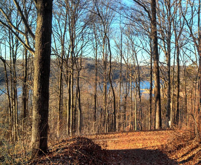 0 Tecumseh Ln, Andersonville, TN 37705