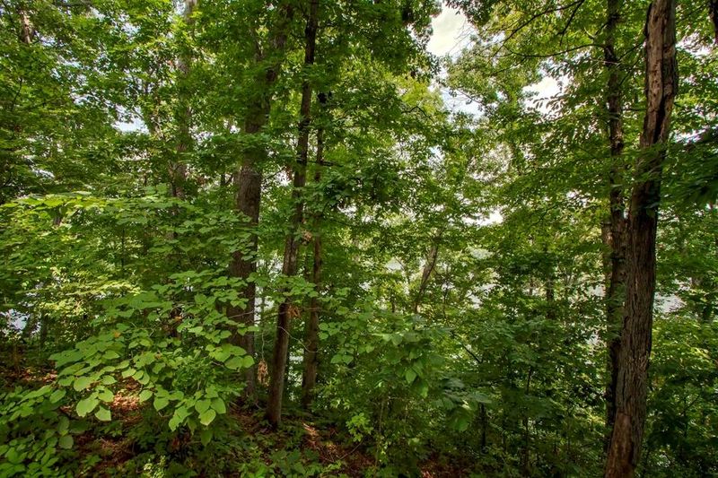0 Tecumseh Point, Loudon, TN 37774