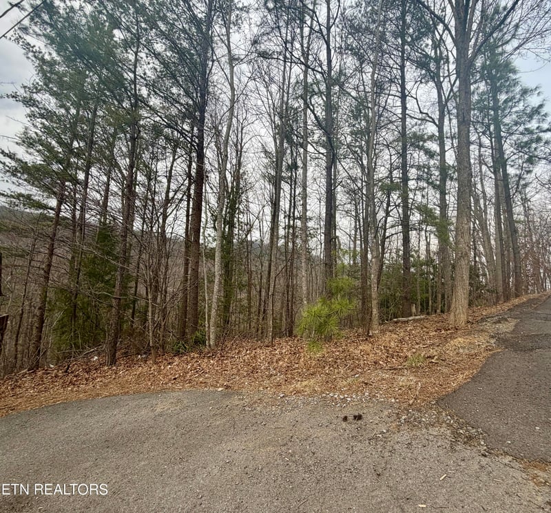 0 Thissa Way, Gatlinburg, TN 37738