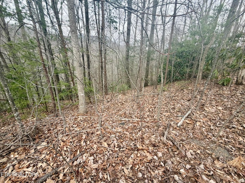 0 Thissa Way, Gatlinburg, TN 37738