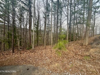 0 Thissa Way, Gatlinburg, TN 37738