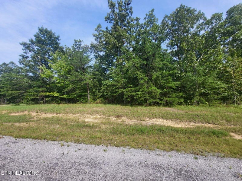 0 Thistle Rd Lot 2 & 3, Monterey, TN 38574