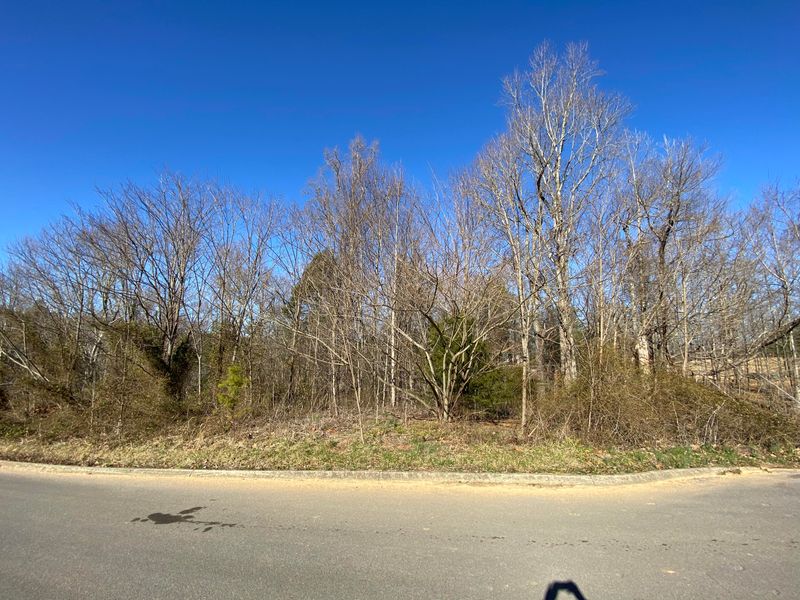 0 Thomas Headrick Rd, Sevierville, TN 37862
